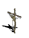 Crucified Skeleton